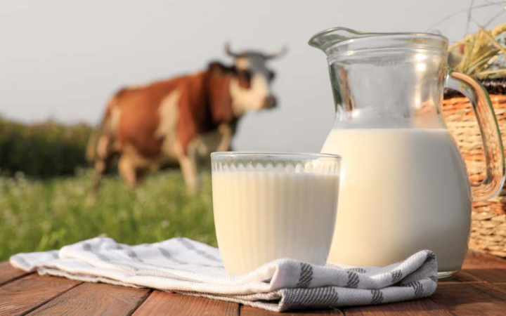 COSTO DE PROTEÍNA REAL (Whey, caseína):