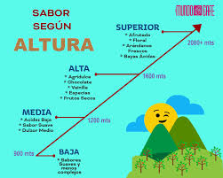 La VERDAD: Café de CALIDAD en México