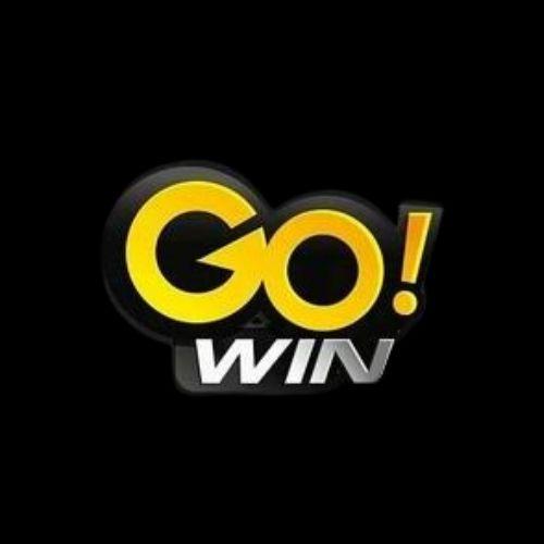 Gowin Motorg