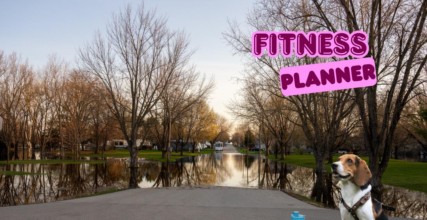 Fitness planner
