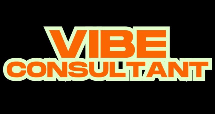 AI 'Vibe' Consultants