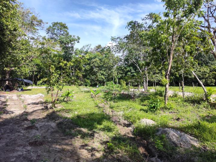 Jesús Armando Rivero palomino