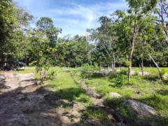 Jesús Armando Rivero palomino