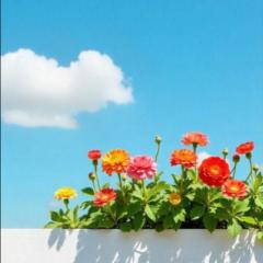 Niveditha M