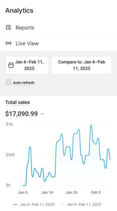 Start & Scale Your Profitable Dropshipping Business Today! 📦