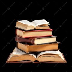 Mercè Torres Ripoll