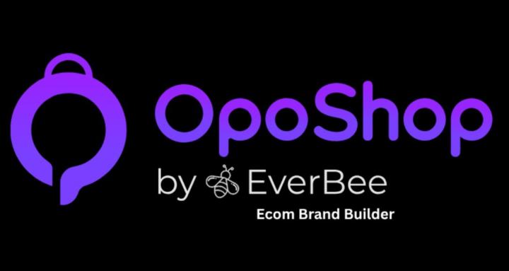 EverBee Ecom Brand Builder