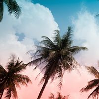 Sergio Andrés Jerez Pinzón