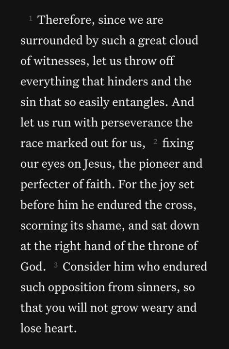 Hebrews 12:2