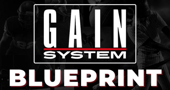 NLA GAIN System Blueprint