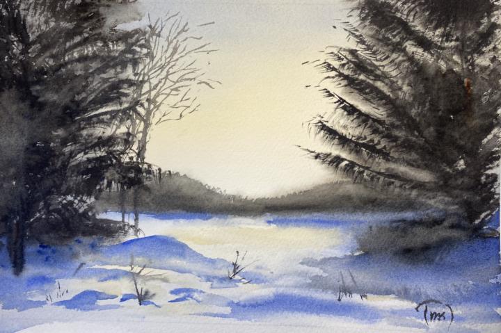 Antar du utmaningen ”måla ett vinterlandskap” ? 