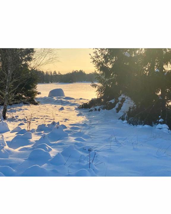 Måla vinterlandskap i akvarell ?