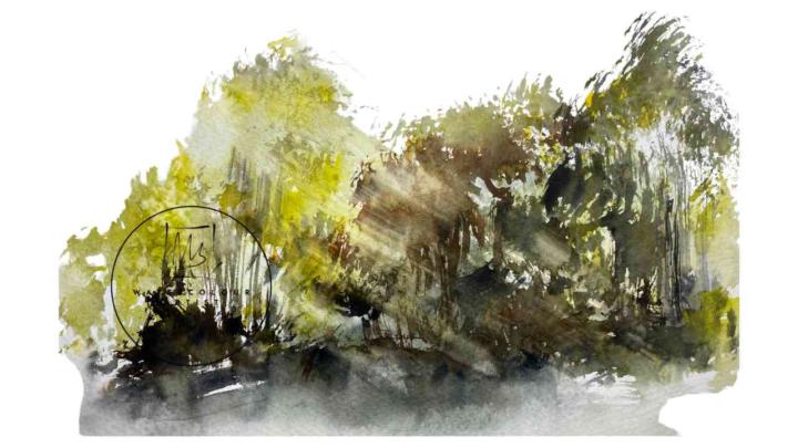 Natursvamp som komplement till akvarellpenslar !