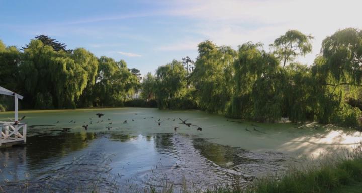 Your Training Arc ⚔️👣✨