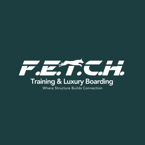 F.E.T.C.H Client Hub gallery image