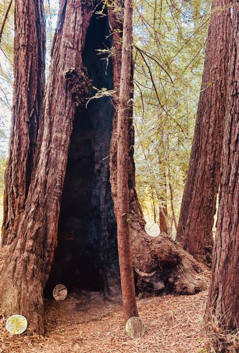 Beginnings + What would you like to be celebrated for? 