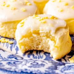 Svitlana Kushnirenko