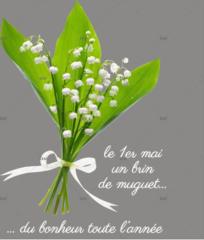 Bonsoir Dou