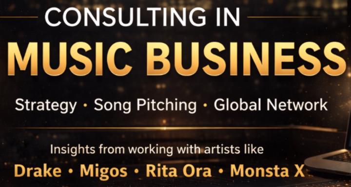 Consulting in Music Business 
