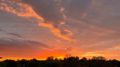 Muhammad Amayad Asif