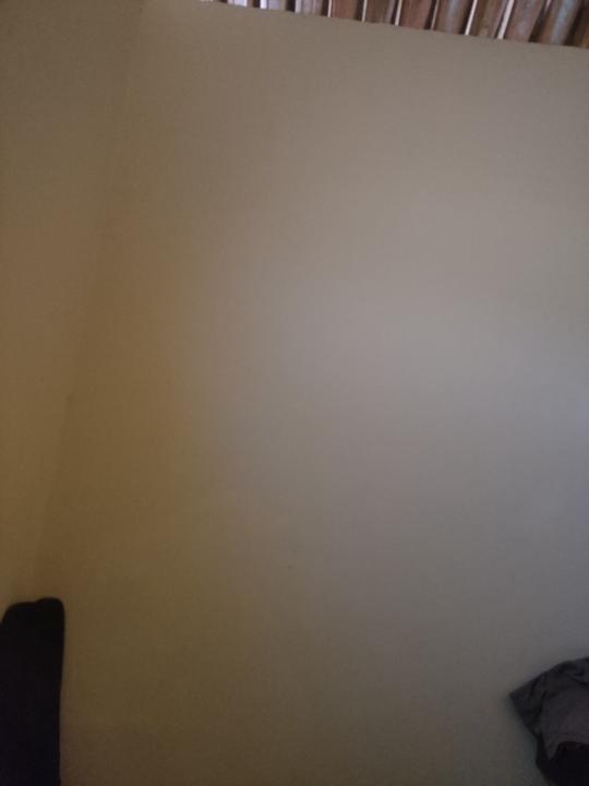 Elber Rodrigues Silva