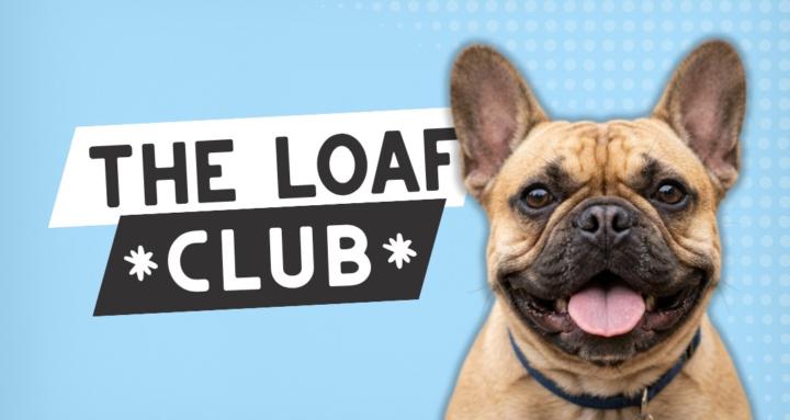 The Loaf Club