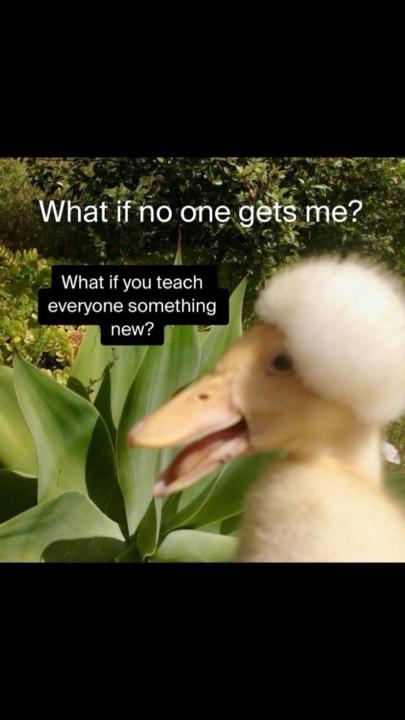 Your voice is needed for our evolution. 