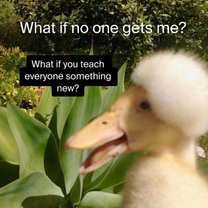A bunch of my fun memes and adds for coaching. 