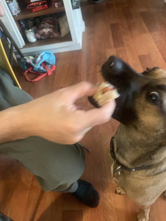 What benefits are connected with the tier you joined? 