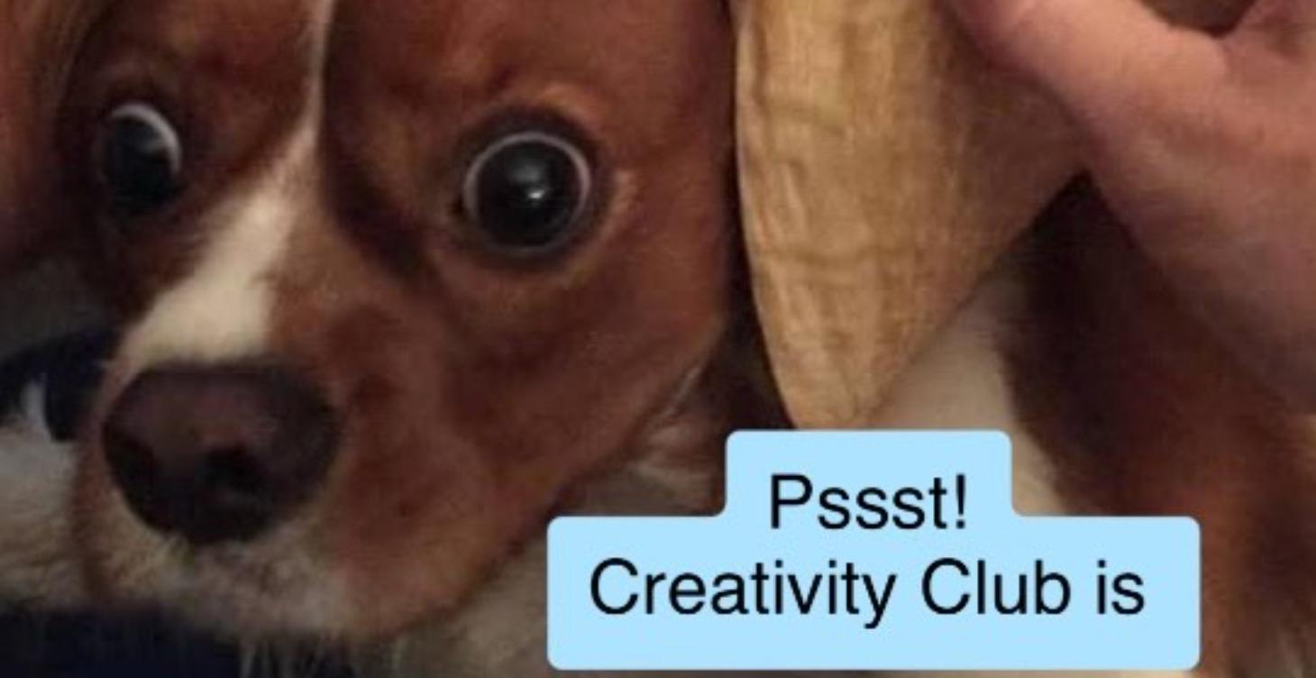 Creativity Club Meetings - Video Recordings