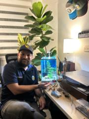 Andersen j Escorcia orozco