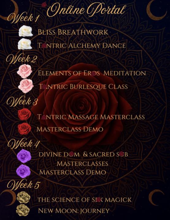 The Semester has begun! 