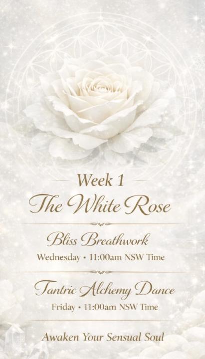 Week 1 - The White Rose begins! 
