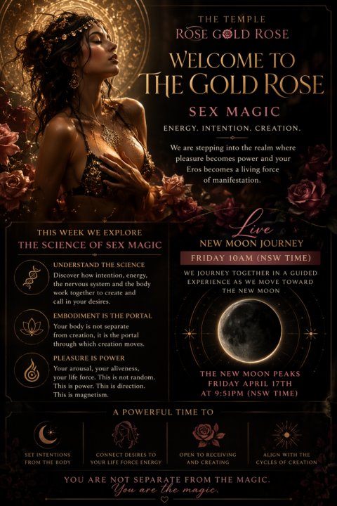 The Gold Rose is here!