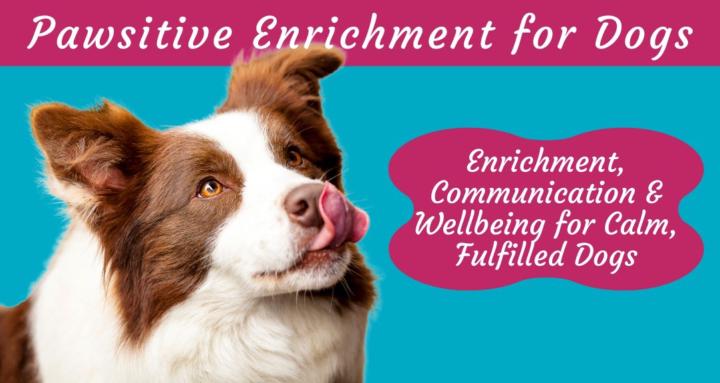 Pawsitive Enrichment for Dogs