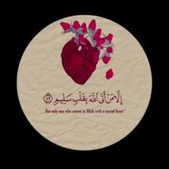 Rabia Rasheed