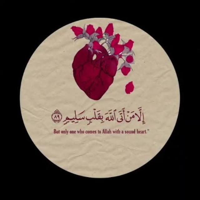 Rabia Rasheed