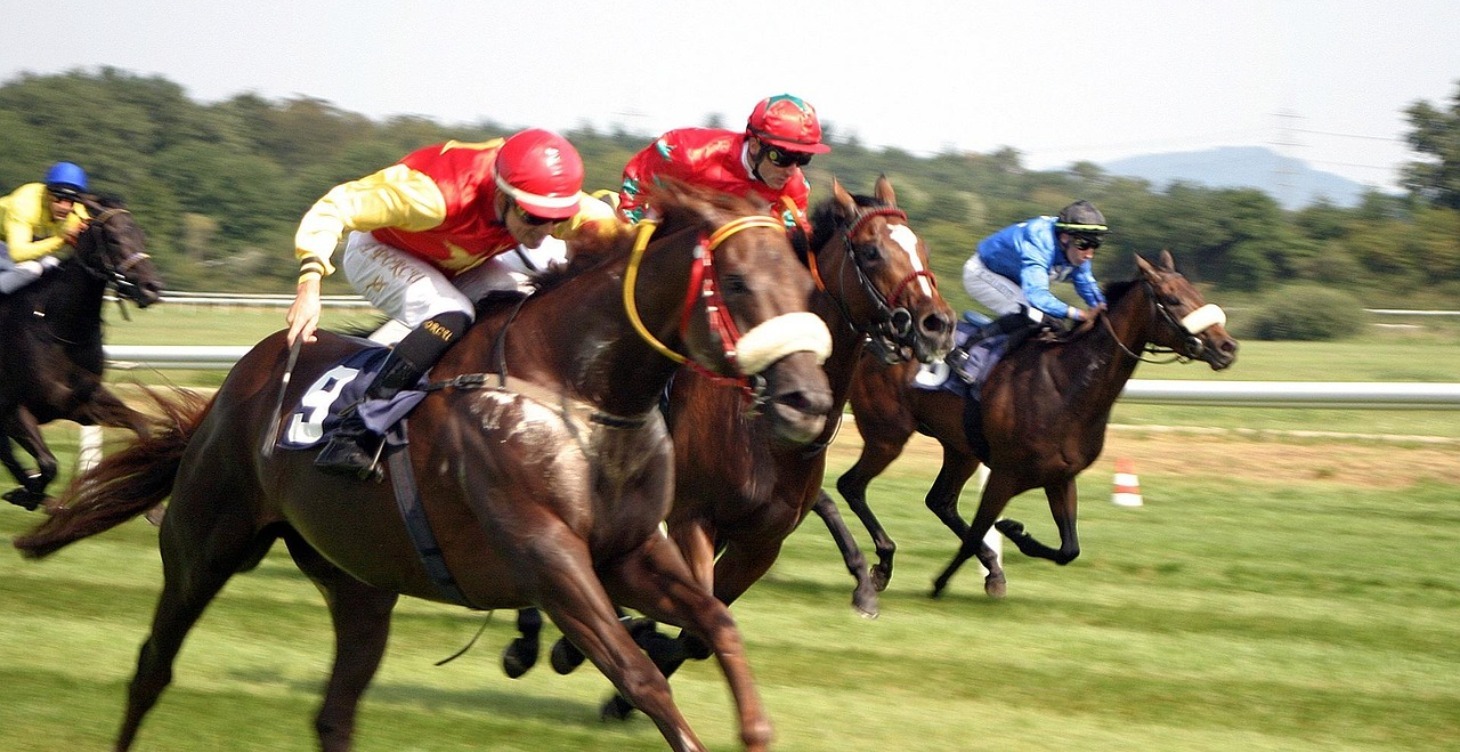 Daily Lay Alerts - Bet the Smart Way