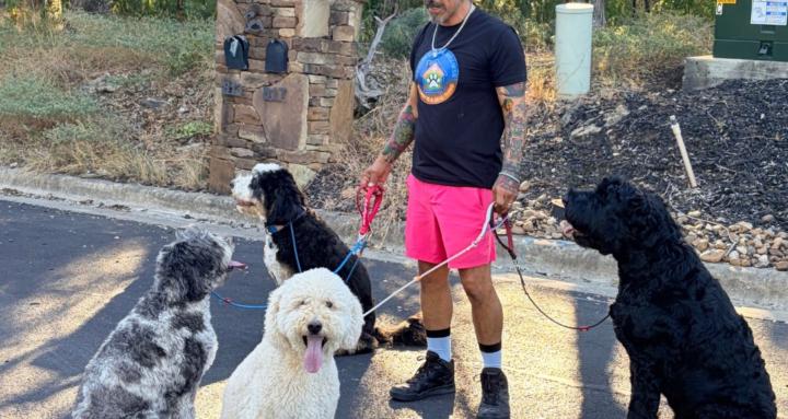 Aguilar Canine Wellness