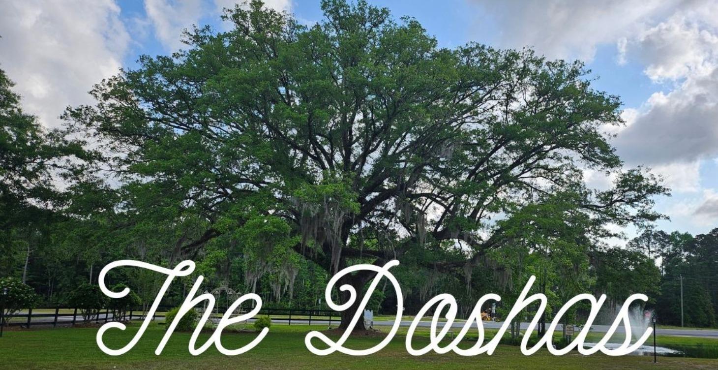 The Doshas - Fundamental Energetic Forces of Life