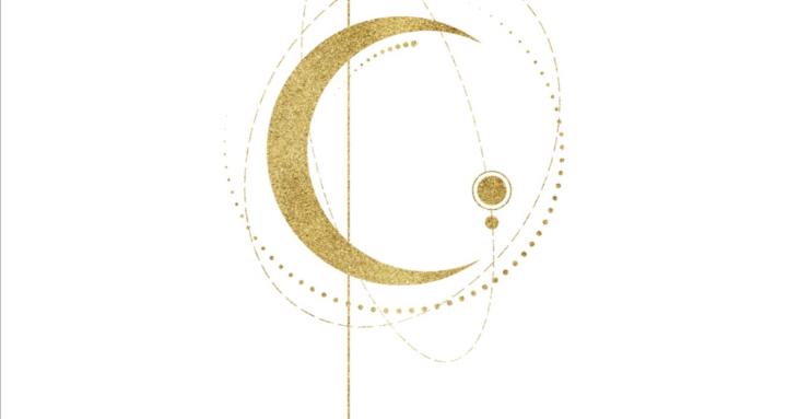 Design, plan, profit