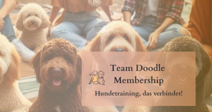 Team Doodle - Hundetraining