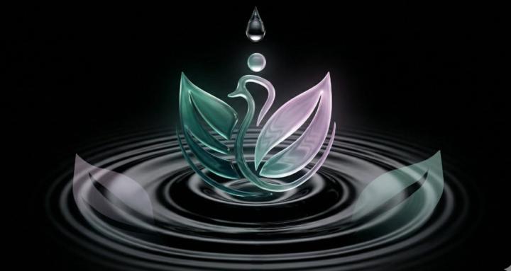 ActivaTuEquilibrio