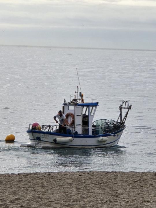 Rosa López