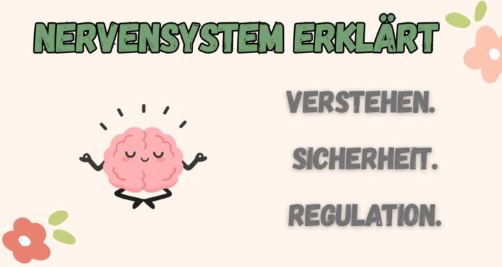 Nervensystem Erklärt