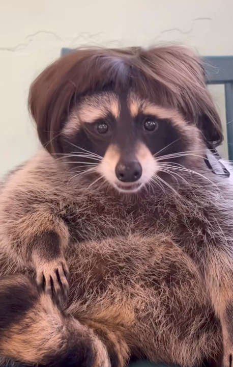 New year and hopefully new games!