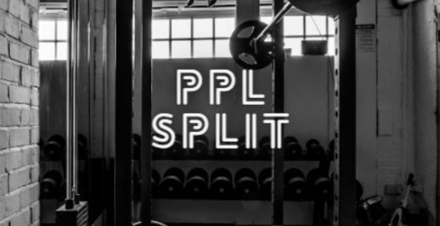 PPL ( Push, Pull, Legs ) Training Program