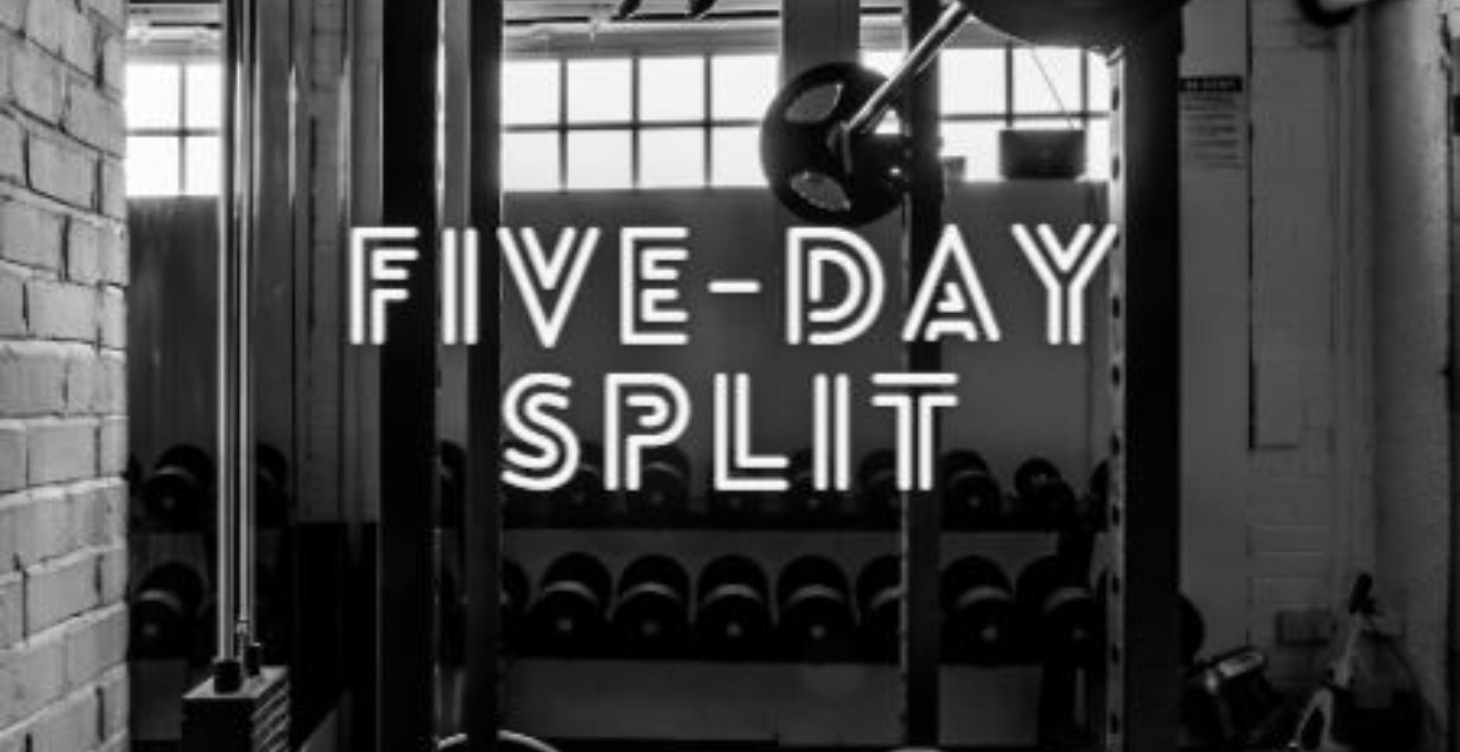 Five-Day Split Training Program