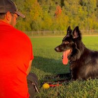 Philippe Cyr-Vigneau