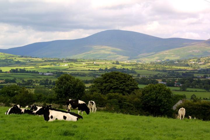 Next Alpha Climb – Mount Leinster 🏔️🔥